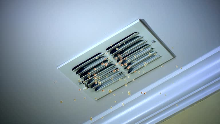 Best Local Air Duct Cleaning Services  in Ivanhoe, CA